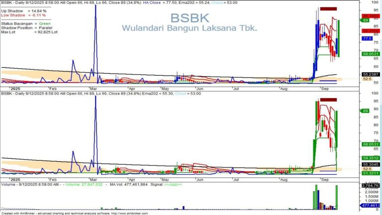 WhatsApp Image 2025-10-09 at 16.22.37